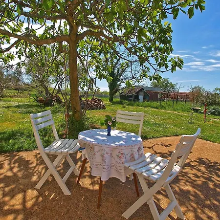 Fuer 3 Personen Ca 45 Qm In Fazana, Istrien Istrische Riviera Apartment *